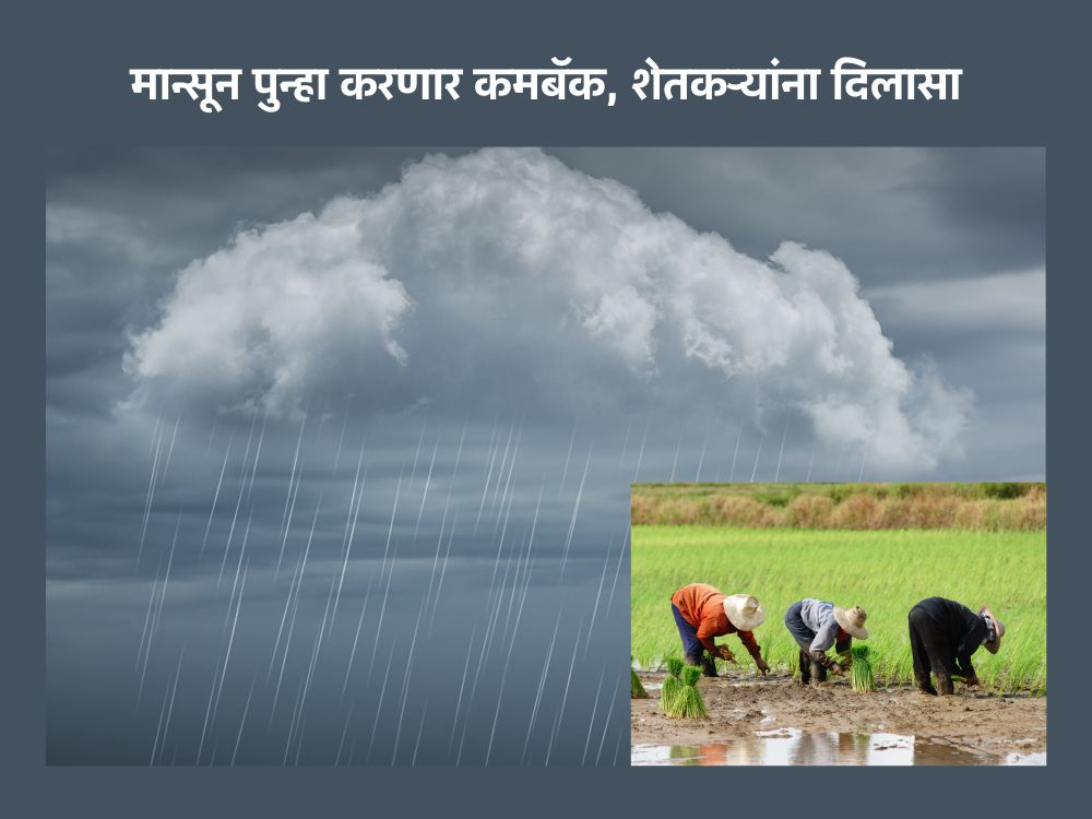 पाऊस करणार कमबॅक